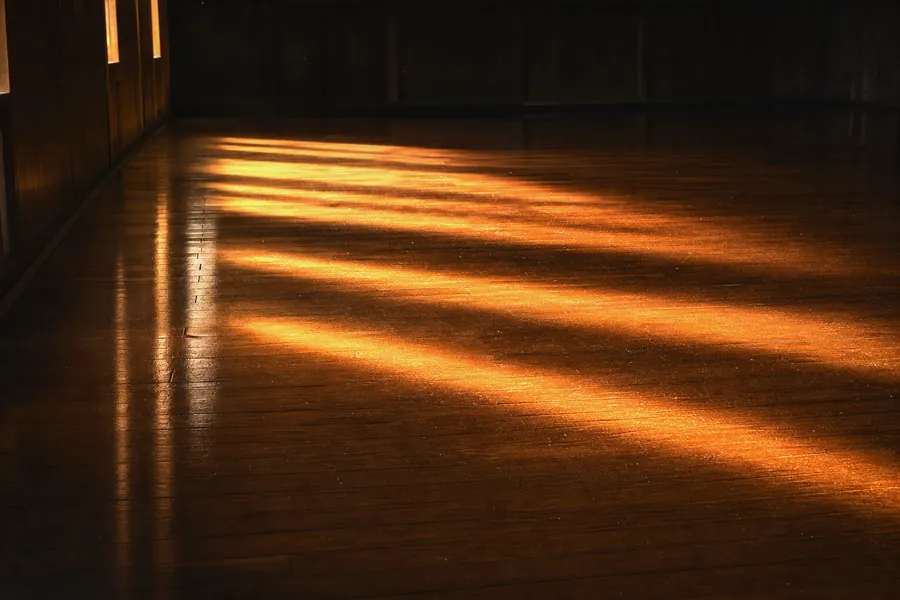 Warm light falling in bars across a dark polished dojo floor